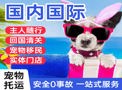 徕宁机场货运国际宠物托运 【国